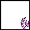 婚庆摄影5_01.gif